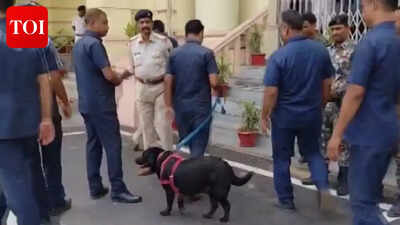 Bihar Assembly receives bomb threat, intensive search underway: Police