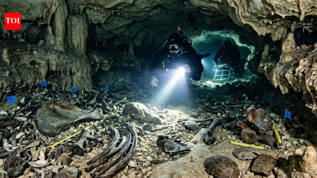 Rare Ice Age fossils found in Texas cave could rewrite ancient climate history