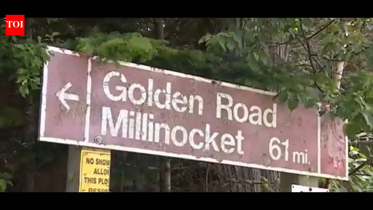 'We just made it, baby': Four 'British nationals' arrested for 'unknowingly' sneaking into US from Canada