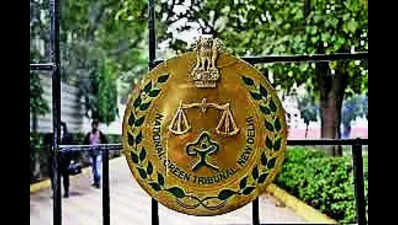 Ridge board should proceed with assigned work, says NGT