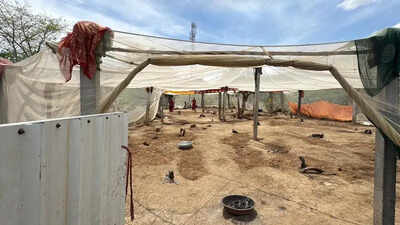 Living under mosquito siege, Veja villagers to boycott polls