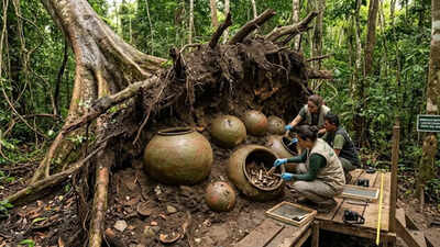  Giant funeral spheres discovered beneath Amazon tree roots in Brazil
