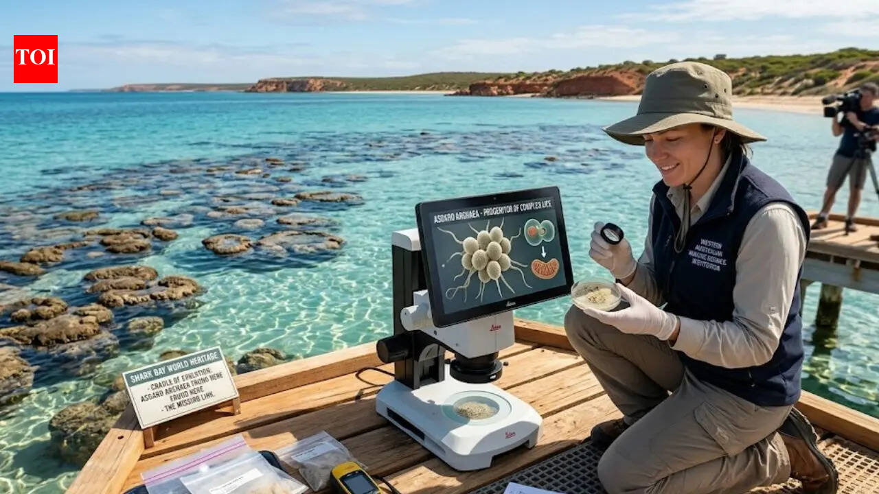 Scientists in Australia have discovered a tiny microbe that could reveal the origin of human life