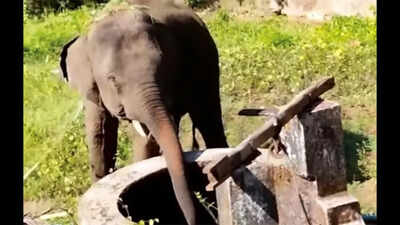 ‘Lack of coordinated action’ forces Omkar back into Goa