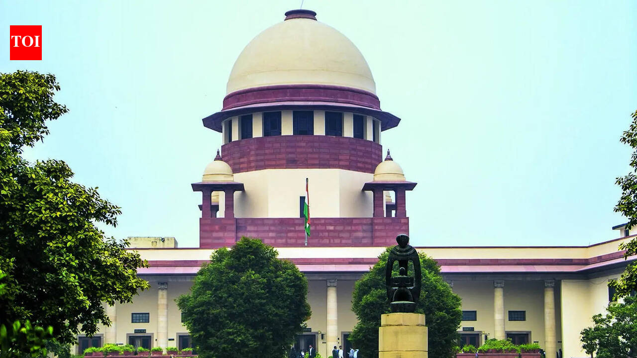 Ghaziabad child rape-murder: SC says police and hospitals inhuman, insensitive