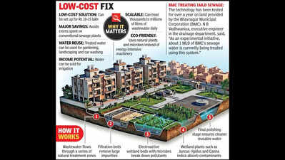 Pathbreaking tech: Natural cure to treat sewage water