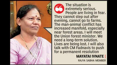 Moving from NMC to Rajya Sabha, Mayatai still rooted to the ground