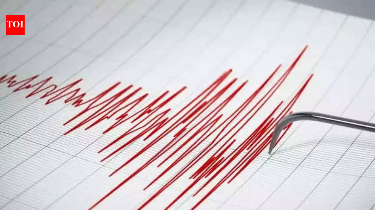 4.5 magnitude earthquake jolts Maharashtra's Hingoli; no casualties