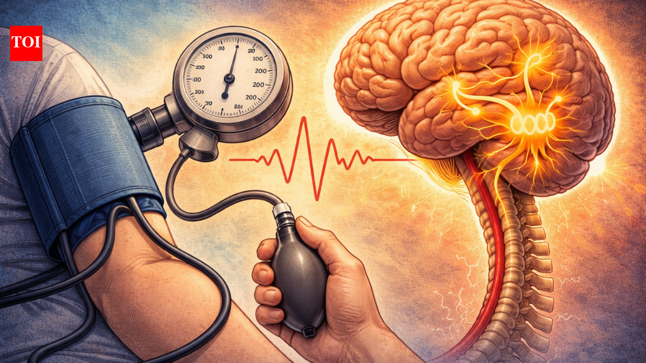 How your brain's breathing centers control blood pressure, study unveils