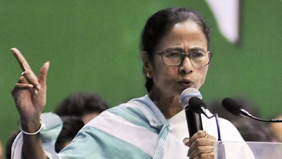 BJP, EC tried to invalidate my Bhabanipur candidature with ‘false cases’: Mamata at Keshiyari rally