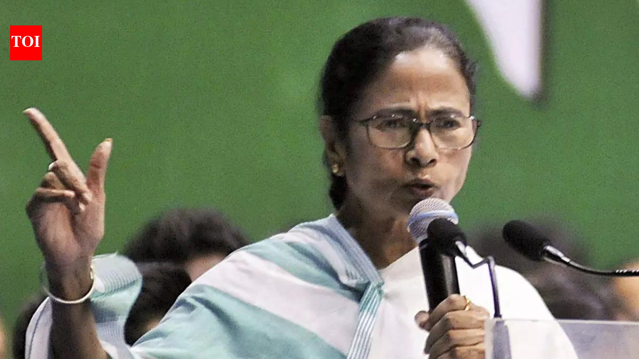 BJP, EC tried to invalidate my Bhabanipur candidature with ‘false cases’: Mamata at Keshiyari rally