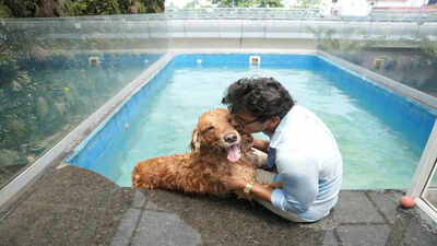 Sign up your pet for some weekend TLC