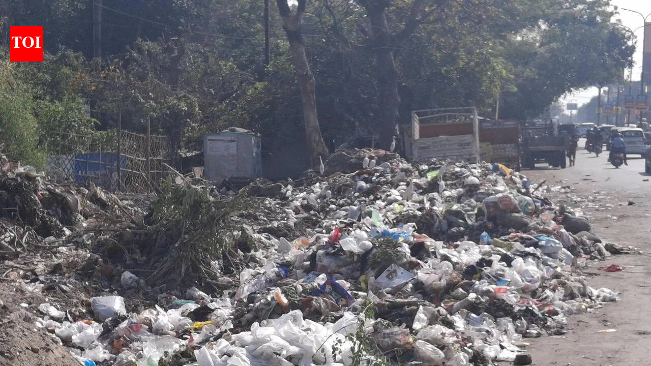 Garbage complaints surge on LMC helpline