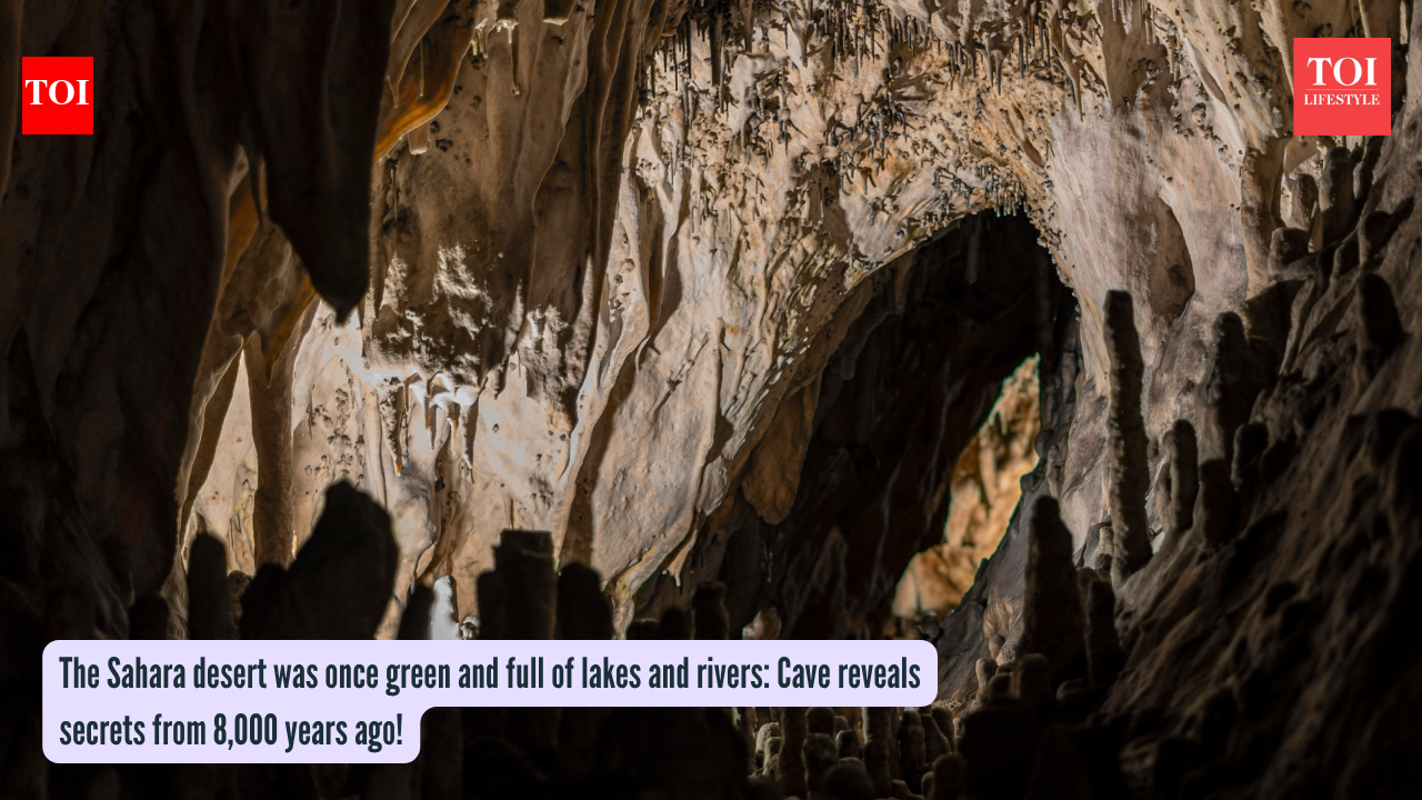 The Sahara desert was once green and full of lakes and rivers: Cave reveals secrets from 8,000 years ago!