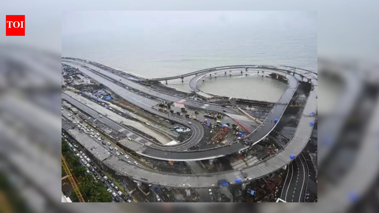 Citizens to gather at Mumbai's Versova Beach to protest mangrove cutting for coastal road project