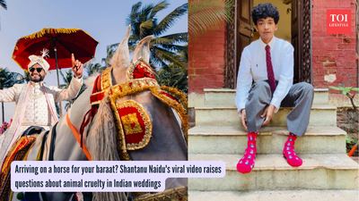 Arriving on a horse for your baraat? Shantanu Naidu's viral video raises questions about animal cruelty in Indian weddings