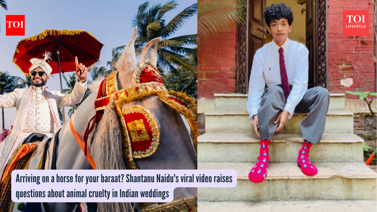 Arriving on a horse for your baraat? Shantanu Naidu's viral video raises questions about animal cruelty in Indian weddings