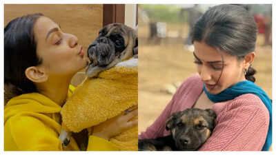 Ganga Mai Ki Betiyan star Amandeep Sidhu celebrates National Pet Day; says “They give pure, unconditional love”