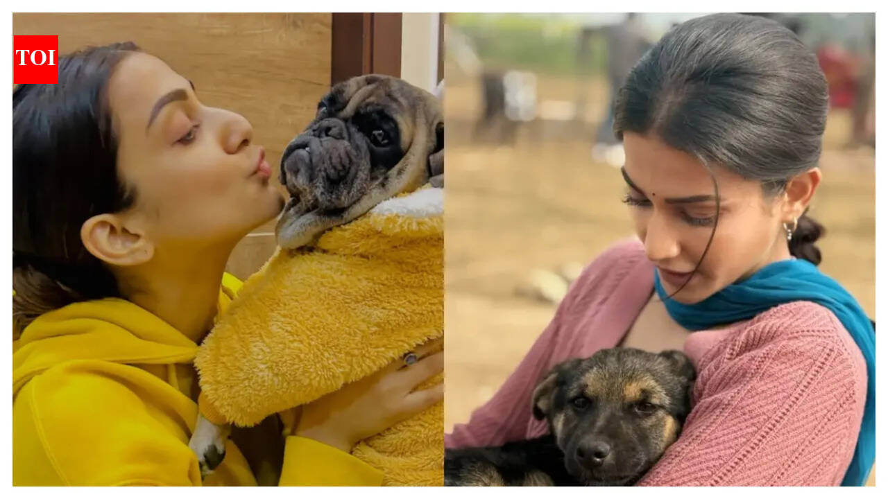 Ganga Mai Ki Betiyan star Amandeep Sidhu celebrates National Pet Day; says “They give pure, unconditional love”