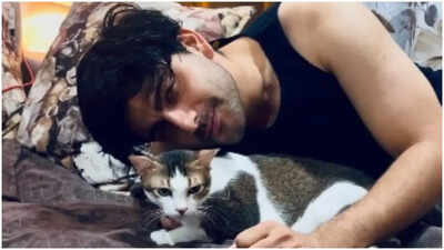 Abhishek Sharrma celebrates unconditional love on National Pet Day: They make life so much more beautiful