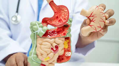 Autoimmune diseases may start in the gut: Early signs your immune system is turning against you and what you can do to restore balance