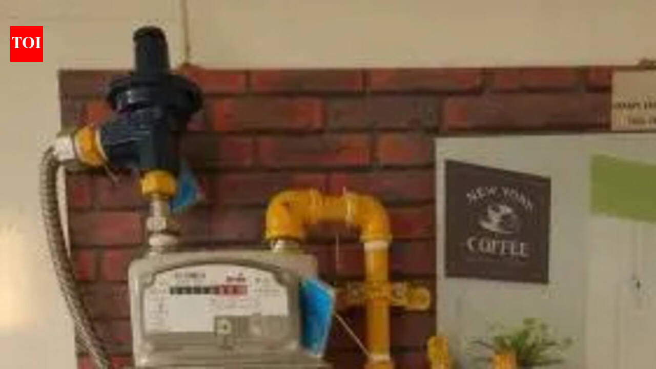 LPG shortage drives surge in PNG demand in Belagavi | Hubballi News - The Times of India