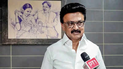 'Saffron lies surpasses blatant lies': Tamil Nadu CM Stalin attacks BJP-led Centre ahead of polls