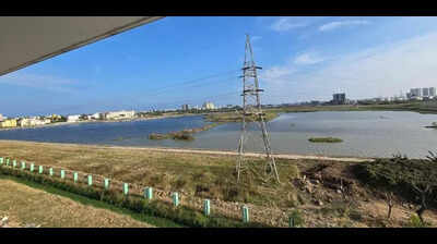 Chennai corpn to revamp three lakes with 35cr blue-green infra