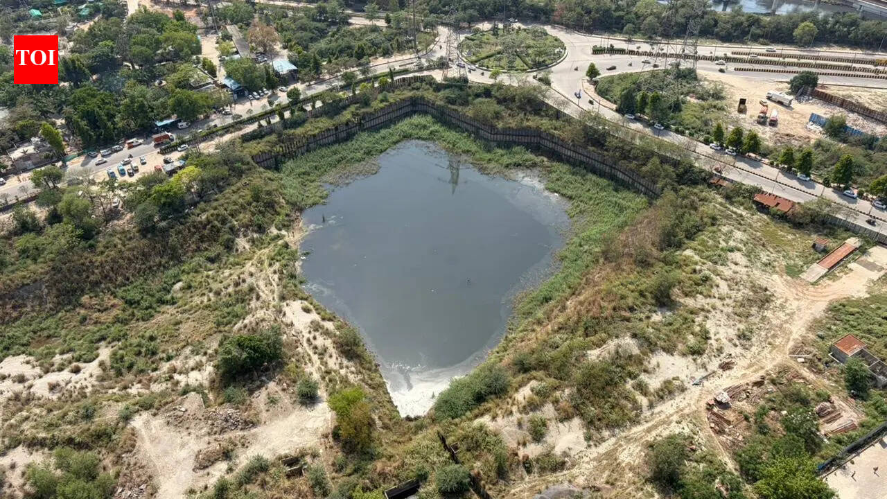 No murder evidence yet, police may close Noida drowning case