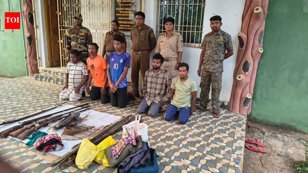 AI camera footage helps nab 5 armed poachers in Similipal