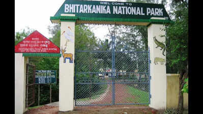 Forest dept urges district admin to evict six illegal hotels in Bhitarkanika