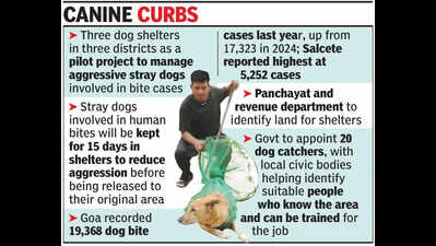 Goa to set up dog shelter in each district, appoint 20 dog catchers