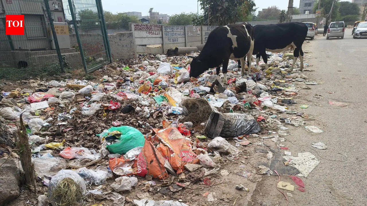 MCG to hire agency to transport waste to Bandhwari landfill for 4 months