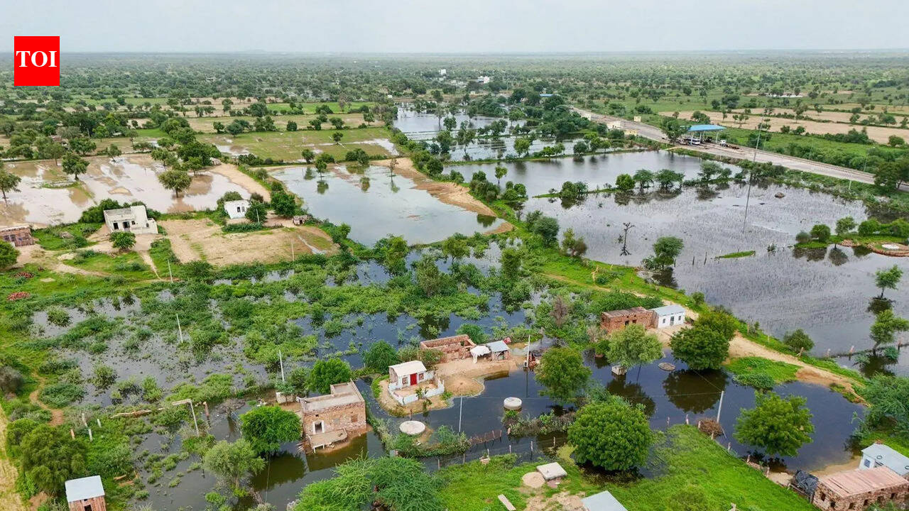 RPCB plans scientific cleanup of Jojari river, focus on industrial waste