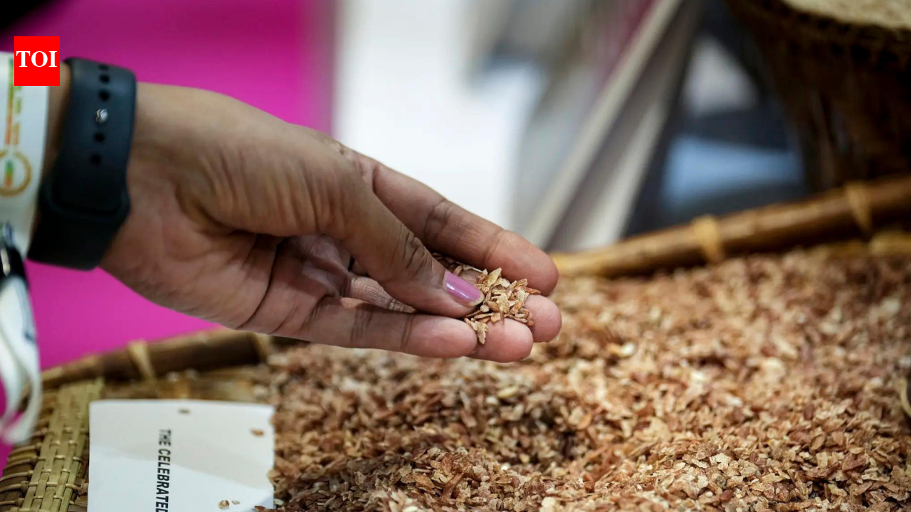 Govt mulls sending surplus rice as aid to conflict-hit Iran