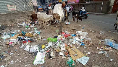 Pune Cantt struggles as daily waste surges to 80 tonnes