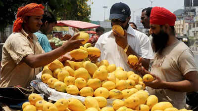  Indians react as internet fumes over India eating 50% of global mango supply