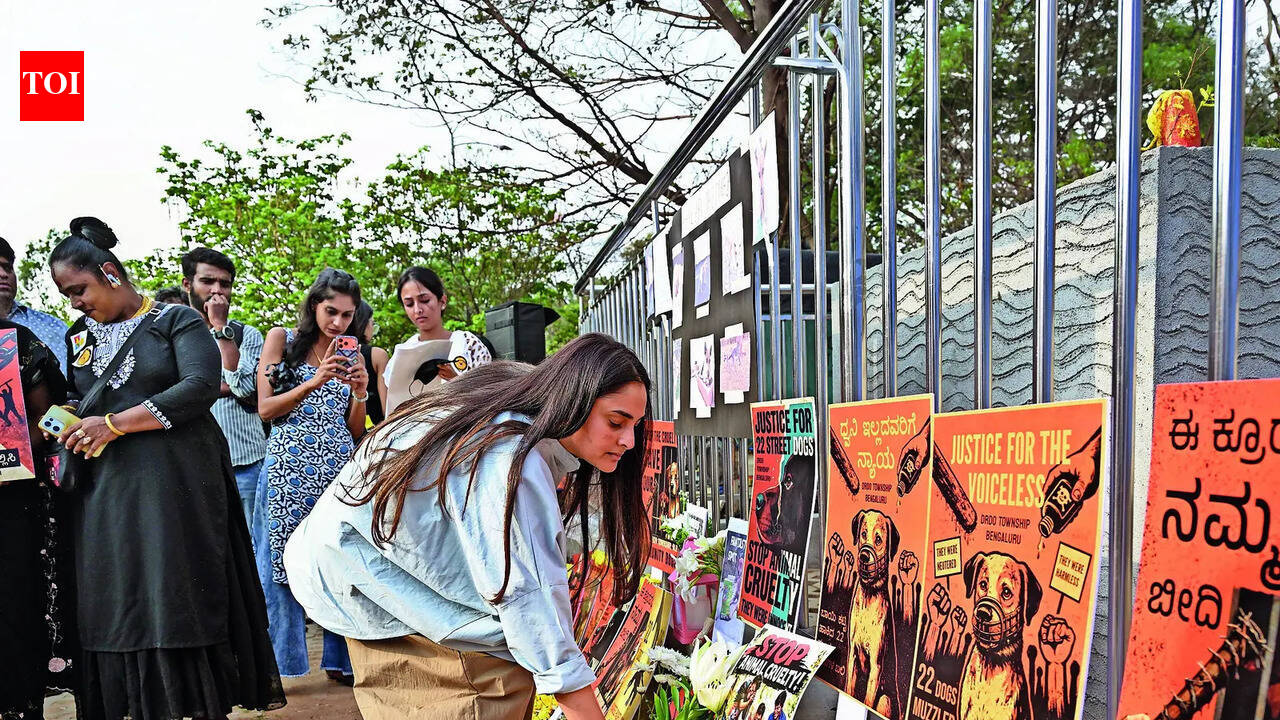 Bengaluru rises in grief and anger for its voiceless