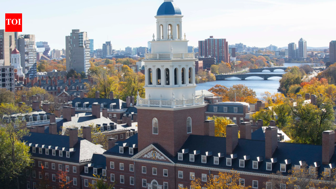 Harvard eyes shared language courses with Yale, Columbia, Cornell to sustain small programmes