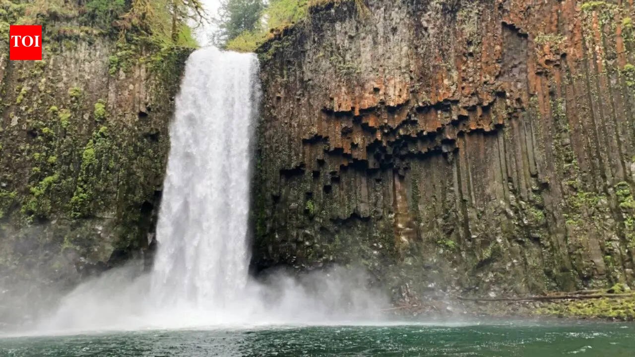 Andhra techie dies in California waterfall accident during trip with friends