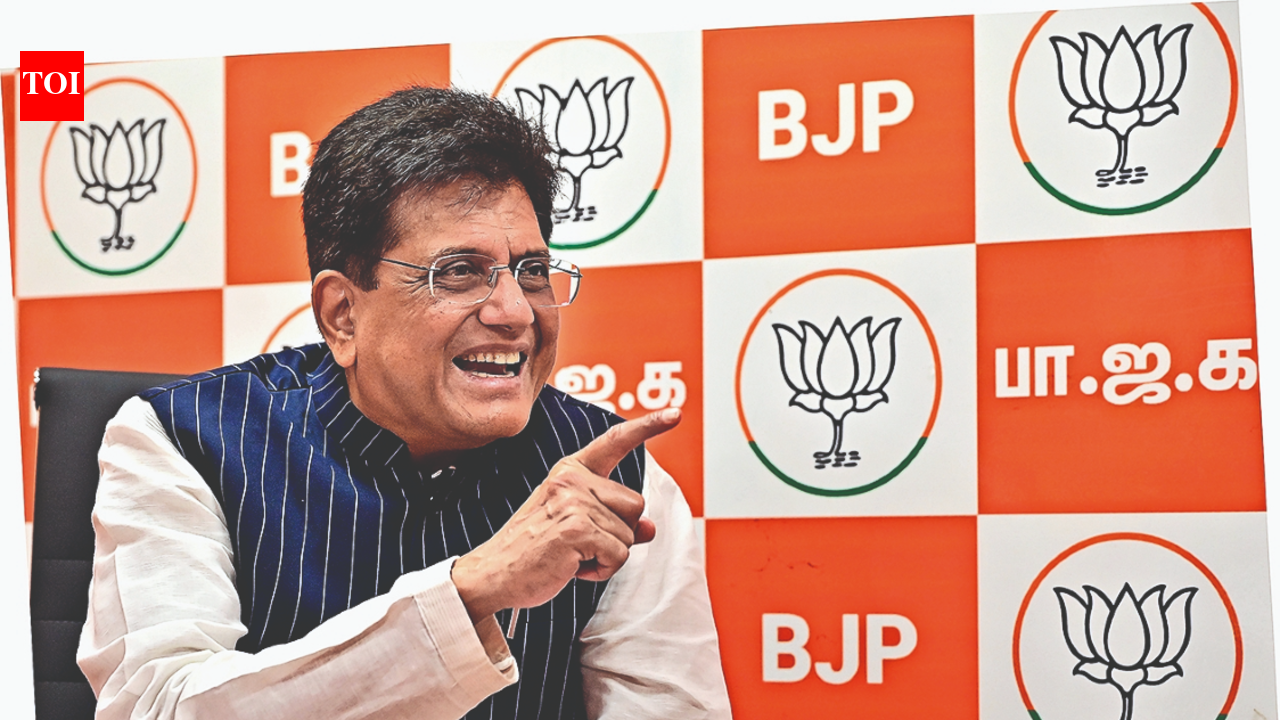 Piyush Goyal interview: I see no value in an alliance with TVK; BJP leadership does not either