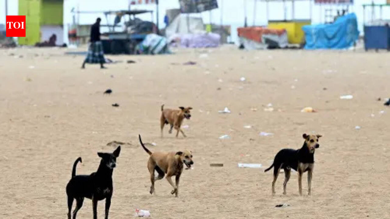 BMC to send blood samples of vaccinated dogs to Bengaluru for antibody testing