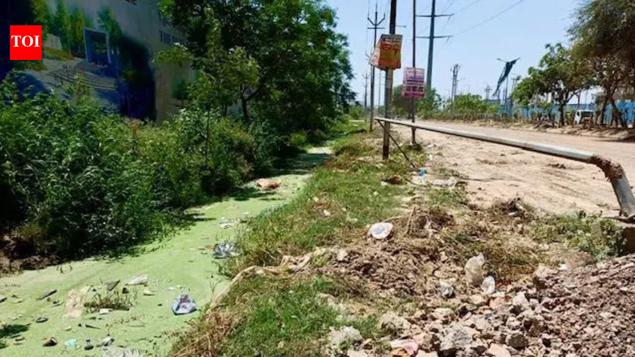 Siddharth Vihar’s crumbling infra: No parks, no waste collection