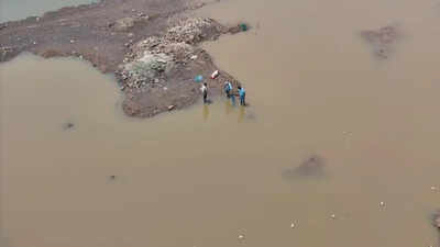 Udayagiri to get assured share of Somasila waters soon