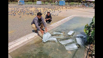 Rajkot sizzles at 41.7°C as heatwave grips Gujarat