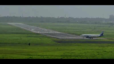 Hyderabad-Surat flight hits jackal on runway