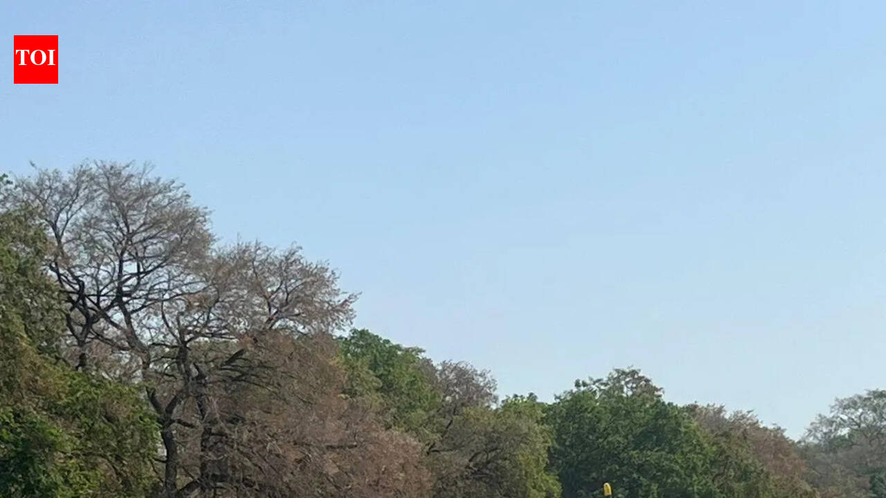 Namo Ghat likely to host IAF air show in Oct