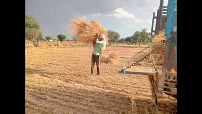 Govt asks insurance cos to speed up crop loss surveys