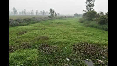  Lifeline of 1.5 cr people facing a dry spell