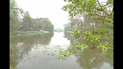  Lifeline of 1.5 cr people facing a dry spell